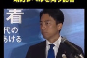 記者「小泉さんが首相になりG7に出席されたら知的レベルの低さで恥をかくのでは」