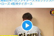 【悲報】阪神公式ツイッター、やらかす