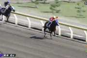 【競馬　動画あり】10/13新潟競馬で珍事！　騎手が距離を間違え、ムチ連打→減速し、惨敗！　騎乗停止。