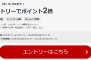 楽天全ショップでポイント２倍、ただしエントリー必須なので注意！