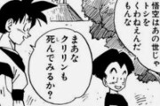 【ドラゴンボール】クリリン「いいよな悟空はあの世じゃトシをくわねえんだもんなｗｗｗ」