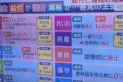 れいわ支持者「これ見て。れいわ、以外ある？」