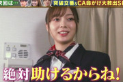 【乃木坂46】超朗報！梅澤美波のCA姿がああ！！！次回『THE突破ファイル』再現ドラマに出演決定！！！ｷﾀ━━━━(ﾟ∀ﾟ)━━━━！！！