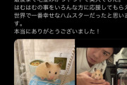 【訃報】マヂラブ野田さんのハムスター、旅立つ