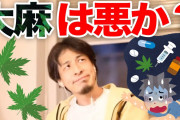 【朗報】ひろゆき、大麻の有能性を力説「七味にも入っている。大麻はコロナや難病に効く。嘘ではない。  [牛丼★]