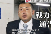 球団「お前、戦力外な！」プロ野球選手(30)「えっ…！？」←この選手のセカンドキャリア