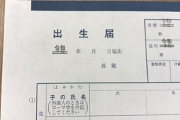 兄夫婦が「今から出生届出しにいきまーす」とうちに寄った。兄夫婦「名前は○○」私「あらあらそんな冗談言うなんて～」兄嫁(激怒！)