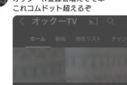 【朗報】小学生YouTuber、一夜にして登録者が15人→2万人になり始まるｗｗｗｗｗｗ