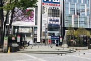 【朗報】新宿駅、人間よりハトさん?の方が多い