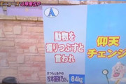 【実況】中居正広『世界仰天ニュース』全カットに “中居ヅラ” の嘆き噴出…年始から全番組放送差し止めで “フェードアウト” 状態