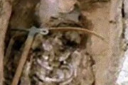 【古代】武器とともに埋葬されていた２６００年前の遺体、１３歳の少女戦士だった…