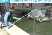 【悲報】パリ五輪の水泳テスト大会、水が汚くて中止