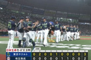【試合結果】ヤクルト3-2西武　小澤6回1失点好投で2勝目！オスナに2点タイムリー！