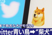 ツイッターがアイコンを日本の柴犬に変更　韓国激怒「また日本かよ！なんで日本だけなんだよムカつく（泣）」