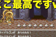 【悲報】ドラクエ開発者「メタスラ狩りは普通にレベル上げするのと効率変わらない」←これ