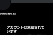 【悲報】Twitterさん、アカウント凍結祭り開催