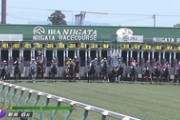【競馬】ロケットペンダント、二足でゲートを出る