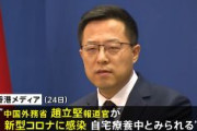 中国のヤクザ顔報道官が新型コロナに感染　「消炎剤や風邪薬、解熱剤も買えない」と妻がSNSに投稿→削除される