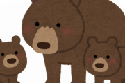 野生のクマって見たことあるか?