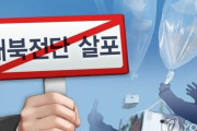 米国の人権団体、文大統領に抗議書簡「対北朝鮮ビラは表現の自由、取り締まるのではなく保護しなければならない」＝韓国の反応