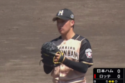 【二軍】吉田　輝星　防御率3.14　K/BB 4.00 WHIP 0.94