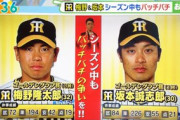 【画像】梅野隆太郎、坂本誠志郎とバチバチだったｗｗｗ