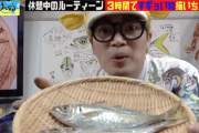 【悲報】さかなクンのYoutube再生数、イマイチ伸びない