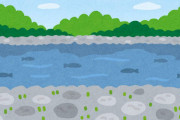【画像あり】近所の川に魚が大量発生してるんだが……