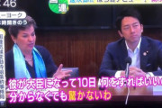 小泉進次郎「火力発電減らすわ」心無い人「どうやって？」隣のおばちゃん「！｣ｼｭﾊﾞﾊﾞﾊﾞ