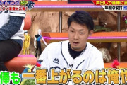 【安価】彡(ﾟ)(ﾟ)「ワイがプロ野球選手に？」その5【祝2年目】