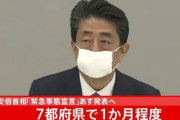 安倍ちゃん「PCR検査、1日2万件に増加させる」