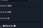 【悲報】峯岸みなみのTwitter検索候補が地獄過ぎてヤバいｗｗｗ