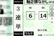 3連単2頭軸マルチってどう思う？