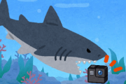 【2.3万いいね】誤って360°撮影カメラを海に落としたら → サメに喰われて衝撃の動画が撮影される！！！（動画あり）