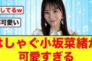 【全てが可愛い】小坂菜緒がひなあいガチャを引いた結果…【ひなたフェス2024】