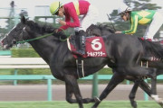 【競馬】吉田代表「来年からはスクリーンヒーローにディープ・キンカメ級の牝馬をつける」