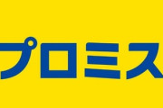 【悲報】今日も今日とて、ヤリスクロスの返済をするためにプロミスから45200円の借り入れ…