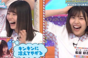 【日向坂46】東村芽依、グッチャグチャになるwwwww