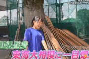【朗報】野球部マネージャー「気づいたら好きになってました。ヤバいです自分が壊れちゃう」