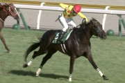 【新潟記念】カラテ菅原明良上手すぎワロタwwwwww