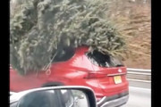 【動画】信じられない方法でクリスマスツリーを持ち帰る人たち。