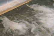 彡(^)(^)「電気風呂…？面白そうやん、入ったろ！」