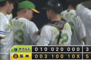 【試合結果】ヤクルト3－5阪神　山田哲人10号2ランも反撃及ばず3連敗…先発山野4回4失点