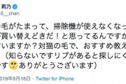 指原莉乃が猫の毛に強い掃除機をフォロワーに聞いた結果…