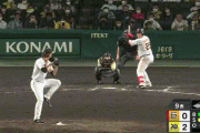 【GIF】甲子園でサッカーｗww【巨人×阪神】