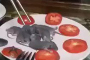 中国人さん、ネズミをそのままパクパク