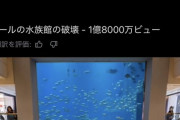 【悲報】1億8000万ビューされた水槽破壊動画、AIで作られたものだった。これに騙されたやつおる？ｗｗｗｗ