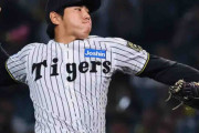 【阪神】工藤泰成が３者連続三振、３カ月ぶり甲子園の歓声は「気持ちいい」ゾーンは“１分割”で