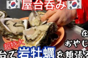 [無料動画]【釜山グルメ】超特大メガ岩牡蠣を肴に屋台呑みをする在韓中年おやじの酒活日記【ポジャンマチャ・韓国旅行・韓国グルメ・韓国料理・韓国ドラマ・生牡蠣・食べ歩き・飲み歩き・ひとり旅】