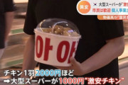 大きくなれよ 【韓国国民食】 「横暴だ」大型店の“激安チキン”に悲鳴も…物価高の韓国で異変[08/23]  [LingLing★]
